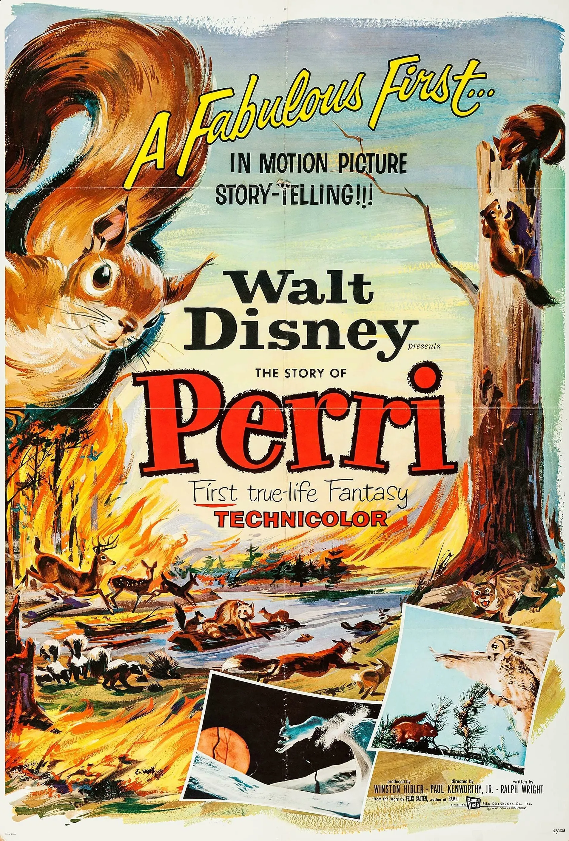 Perri poster