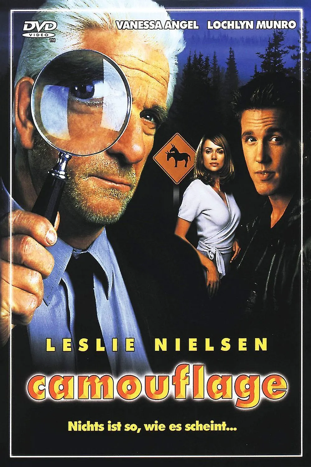 Camouflage poster