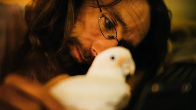 Dennis met zijn duif