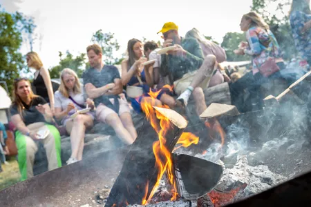 Down the Rabbit Hole 2022