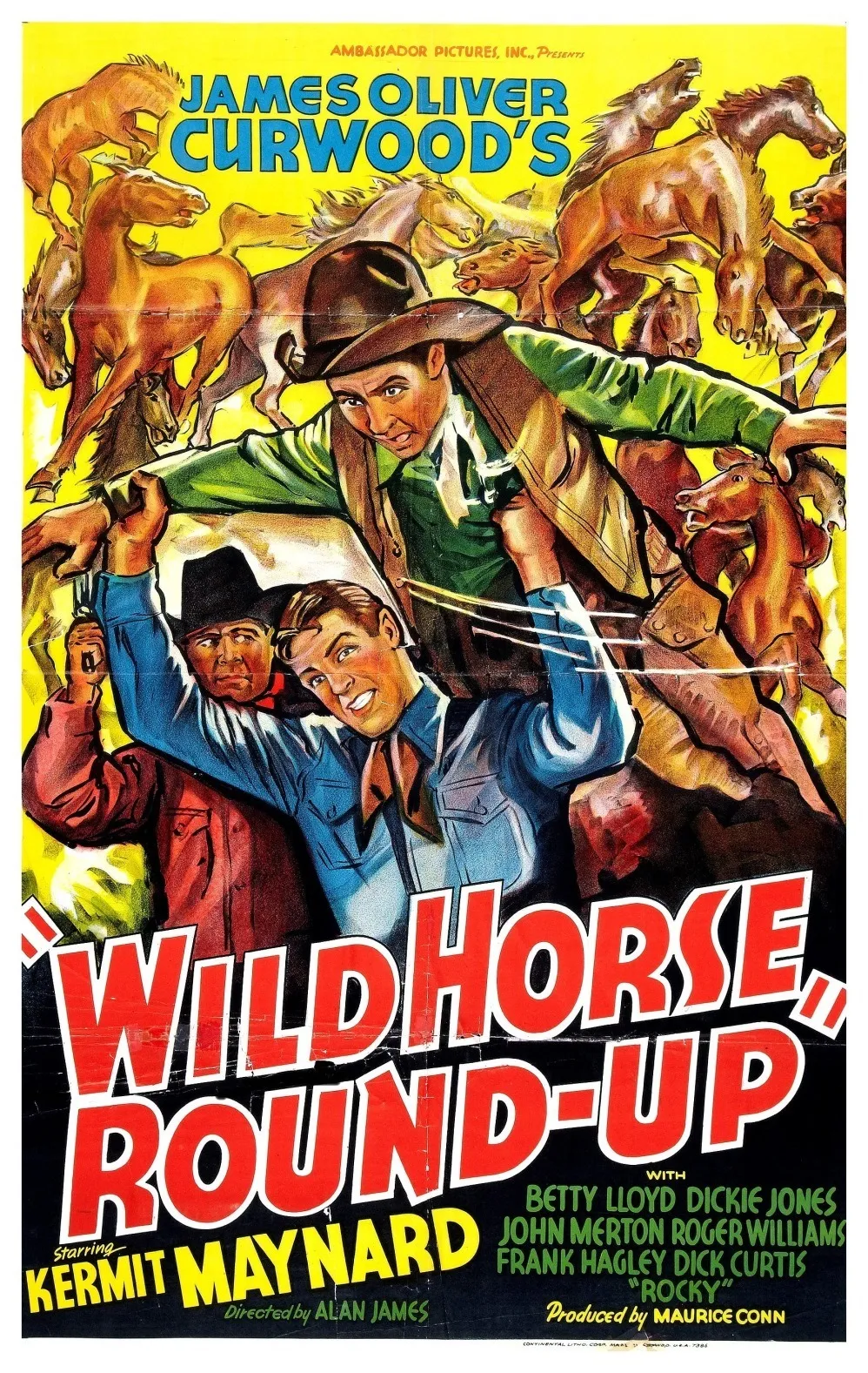 Wild Horse Round-Up poster