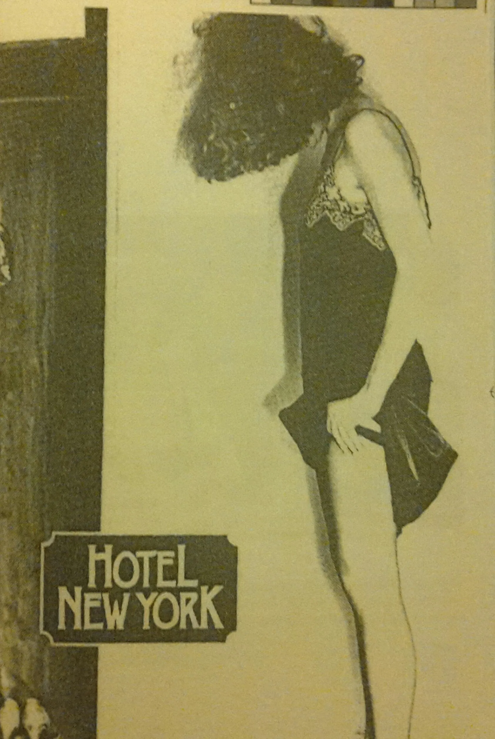 Hotel New York poster