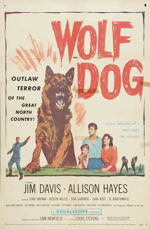 Wolf Dog poster