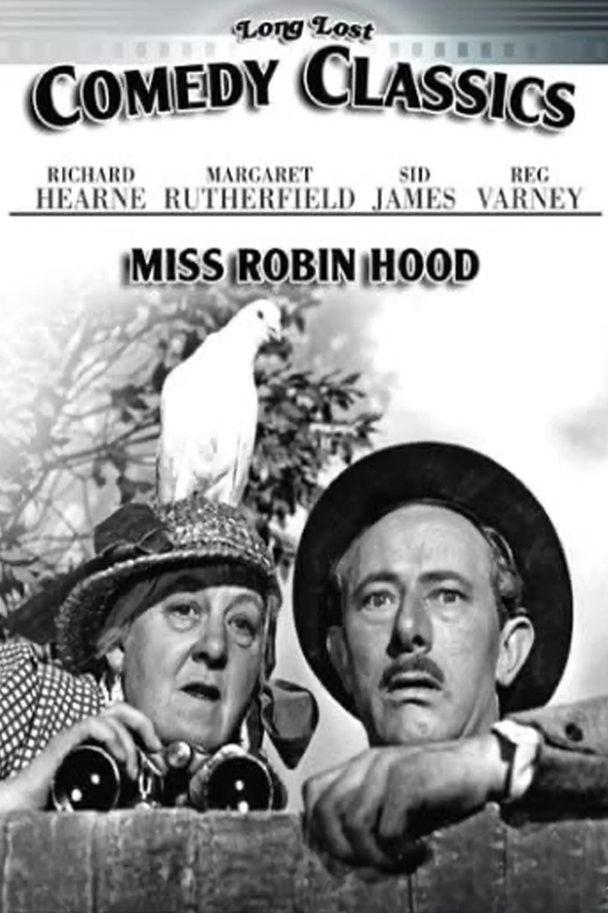 Miss Robin Hood poster