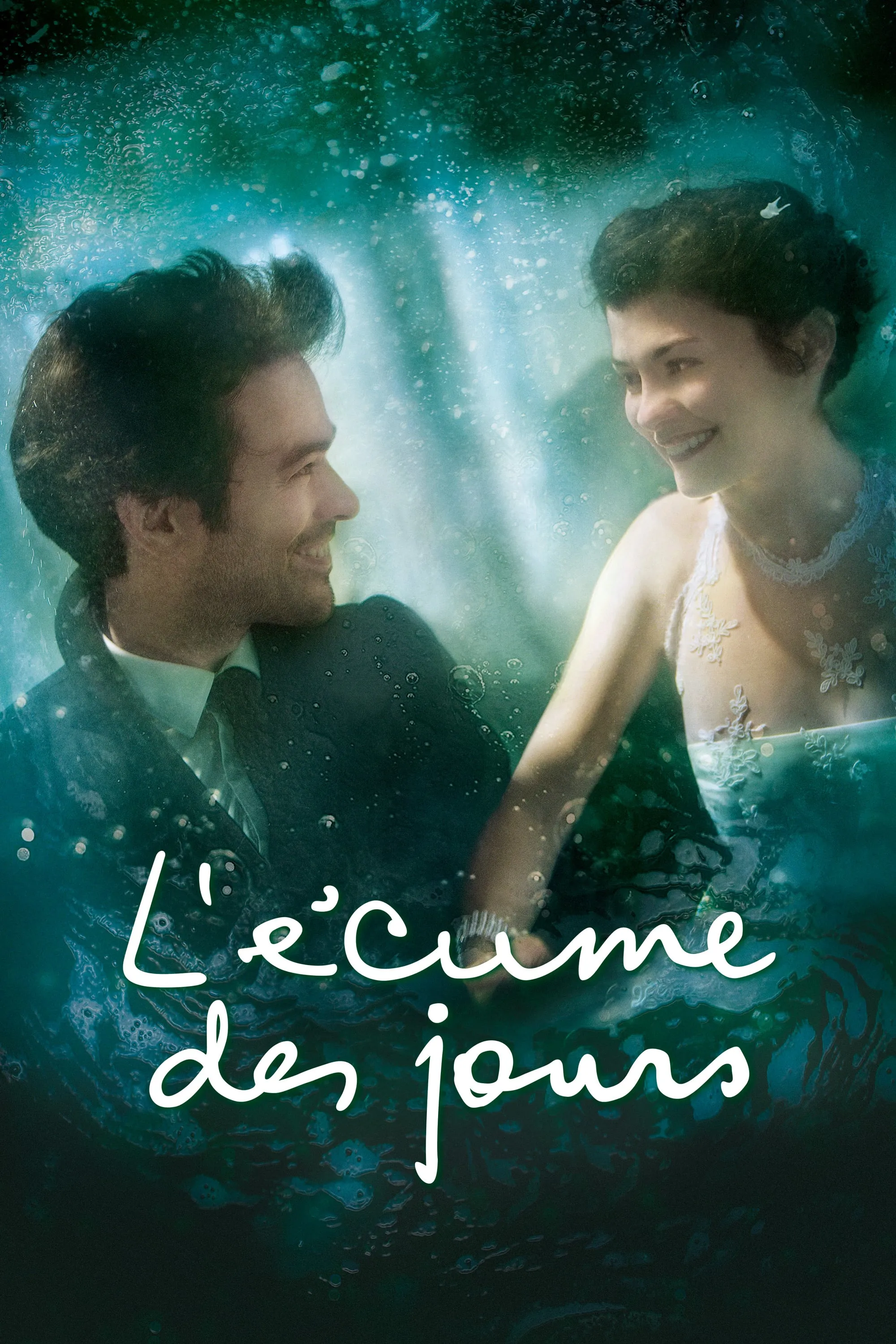 L'écume des jours poster