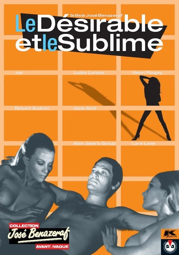 Le désirable et le sublime poster