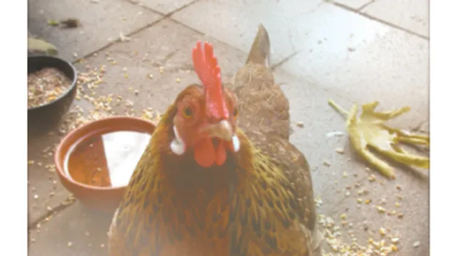 Machinefabriek - Bij Mirjam