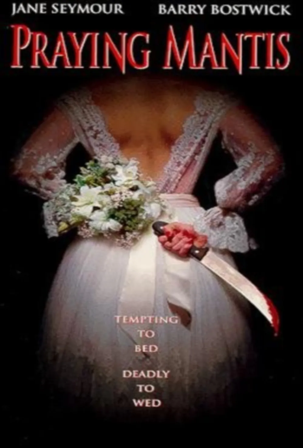 Praying Mantis poster