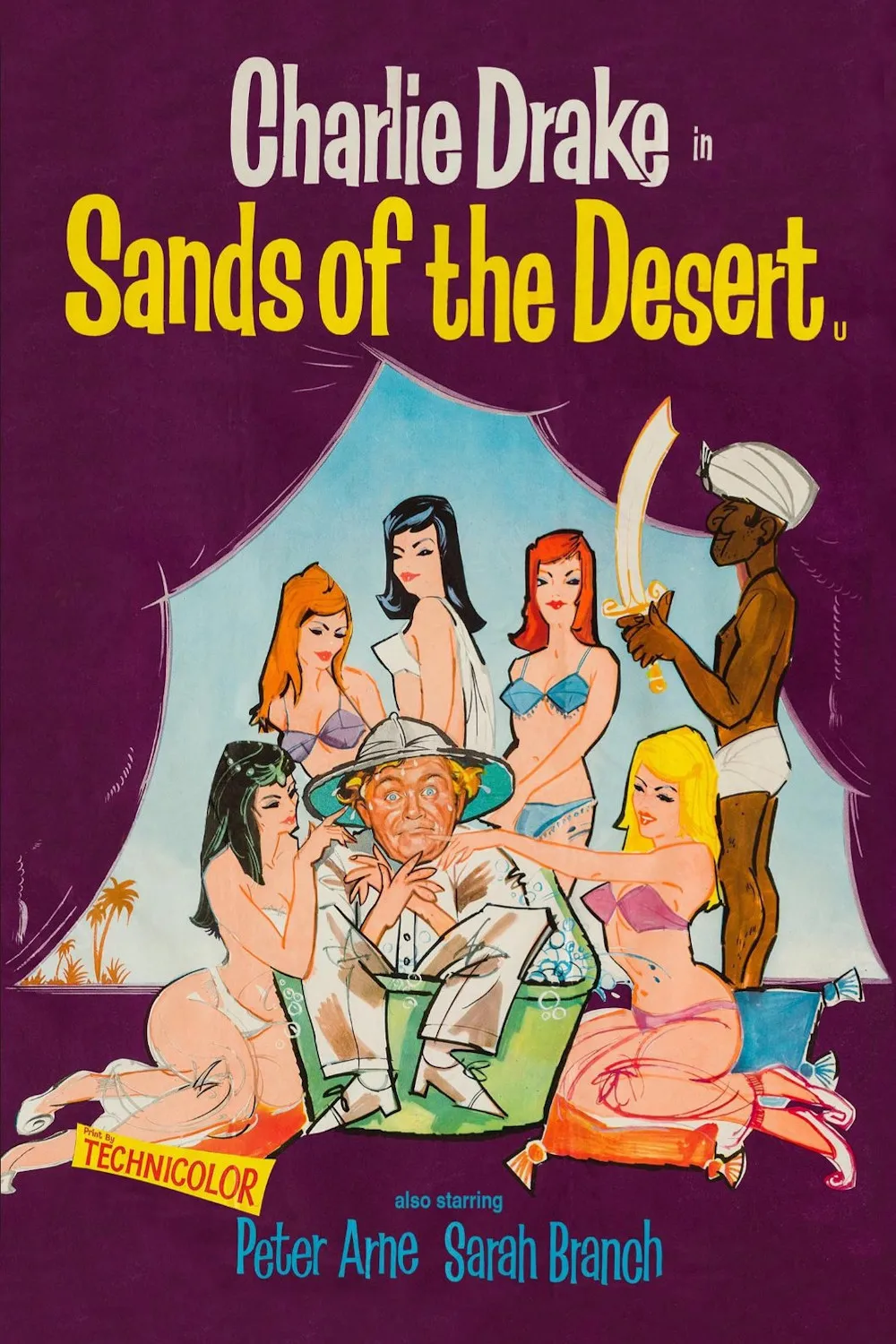 Sands of the Desert poster