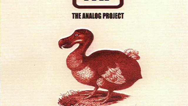 The Analog Project - Fight for all you're worth