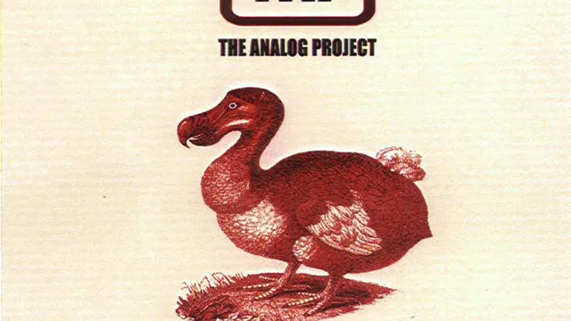 The Analog Project - Fight for all you're worth