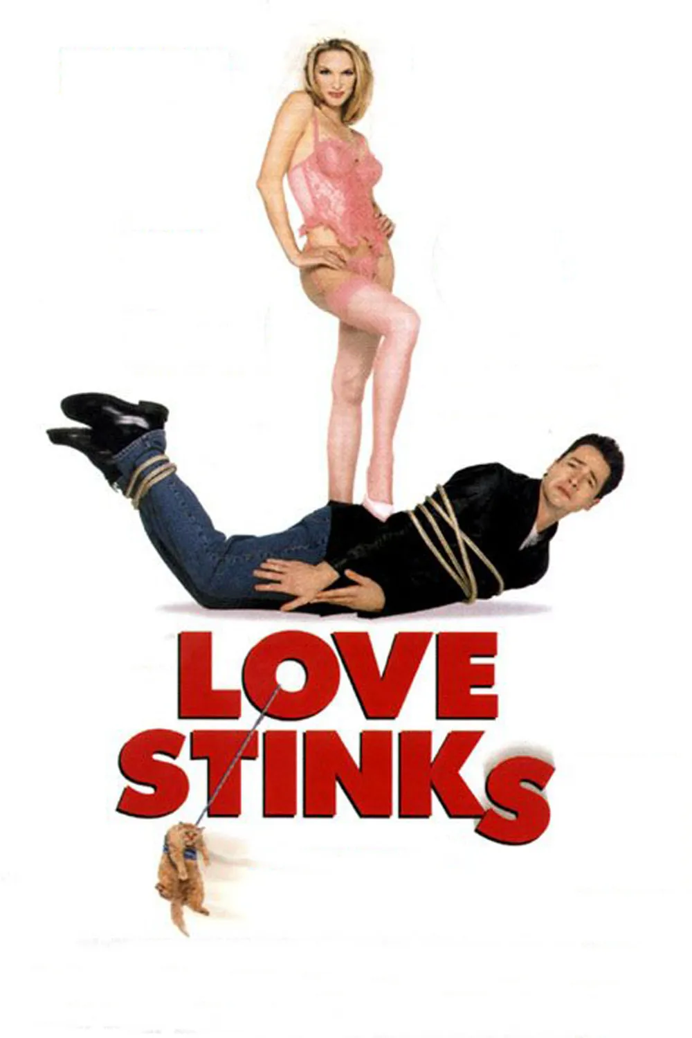 Love Stinks poster