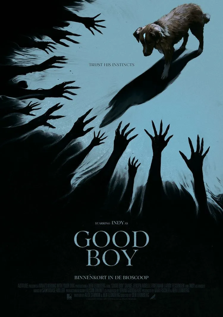 Good Boy poster