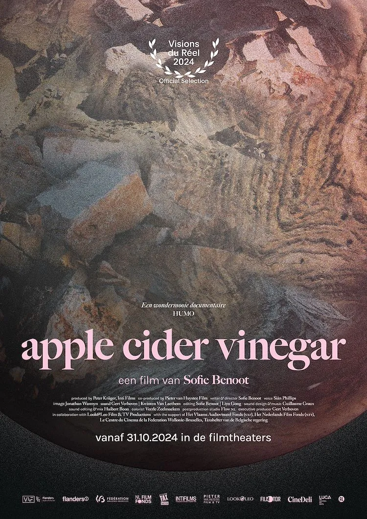Apple Cider Vinegar poster
