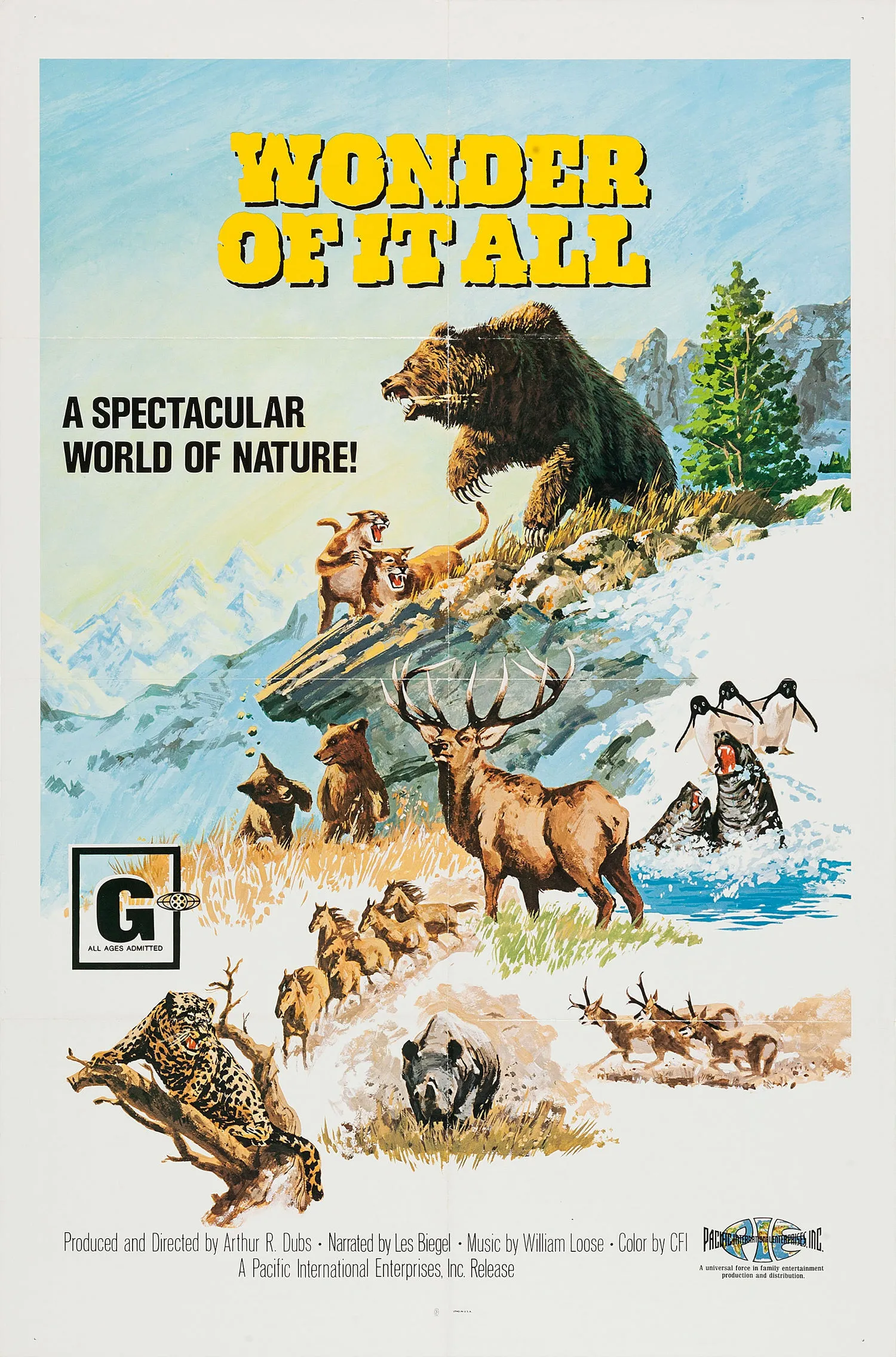 Wonder of it all poster