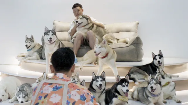 still 3 'Daten voor beginners'