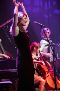 La très illustre compagnie du Chat Noir