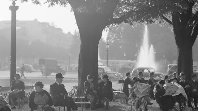 lezen in het park
