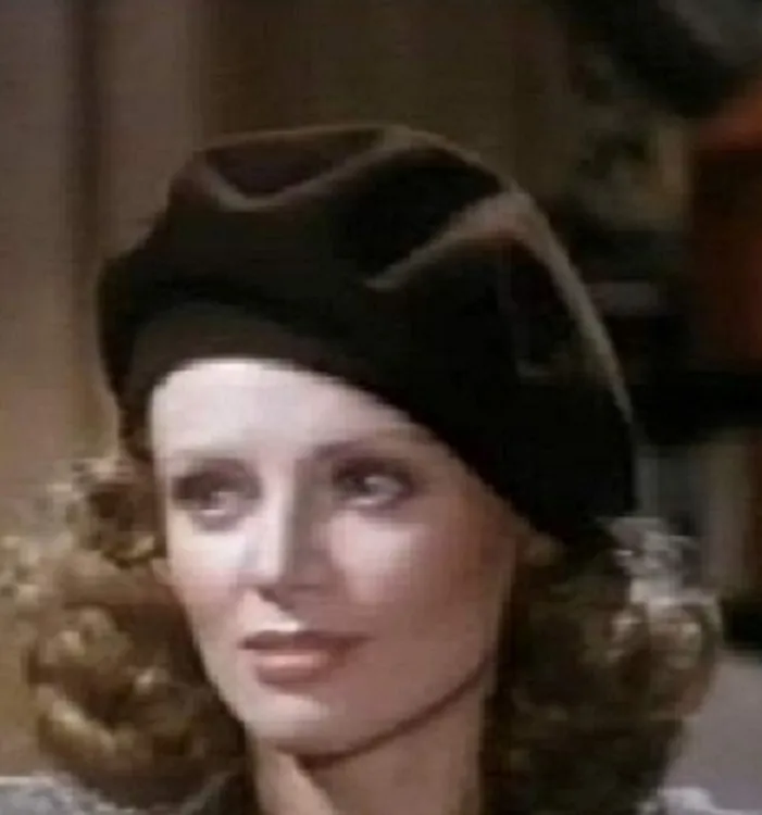 The Silent Lovers poster