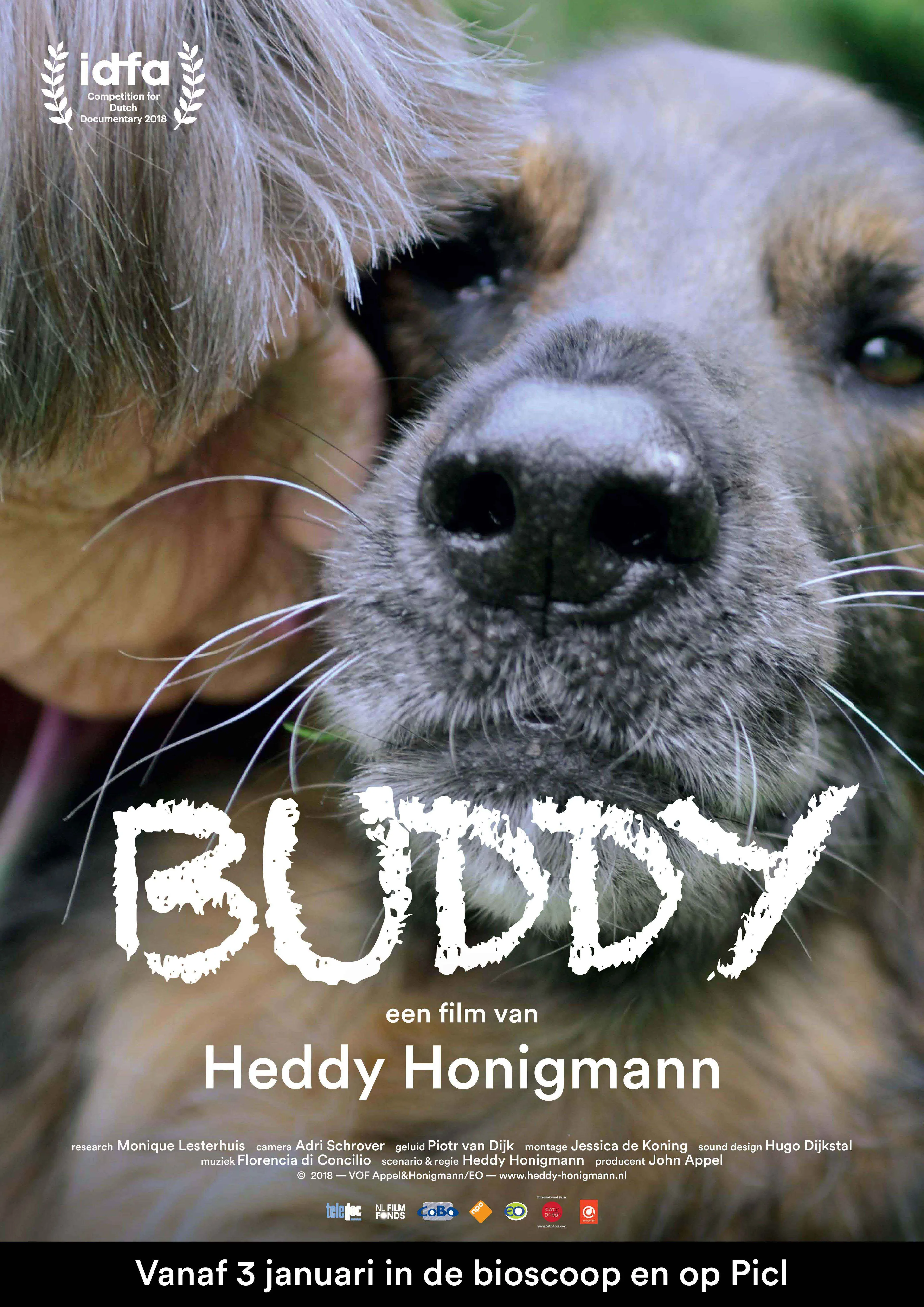 Buddy poster