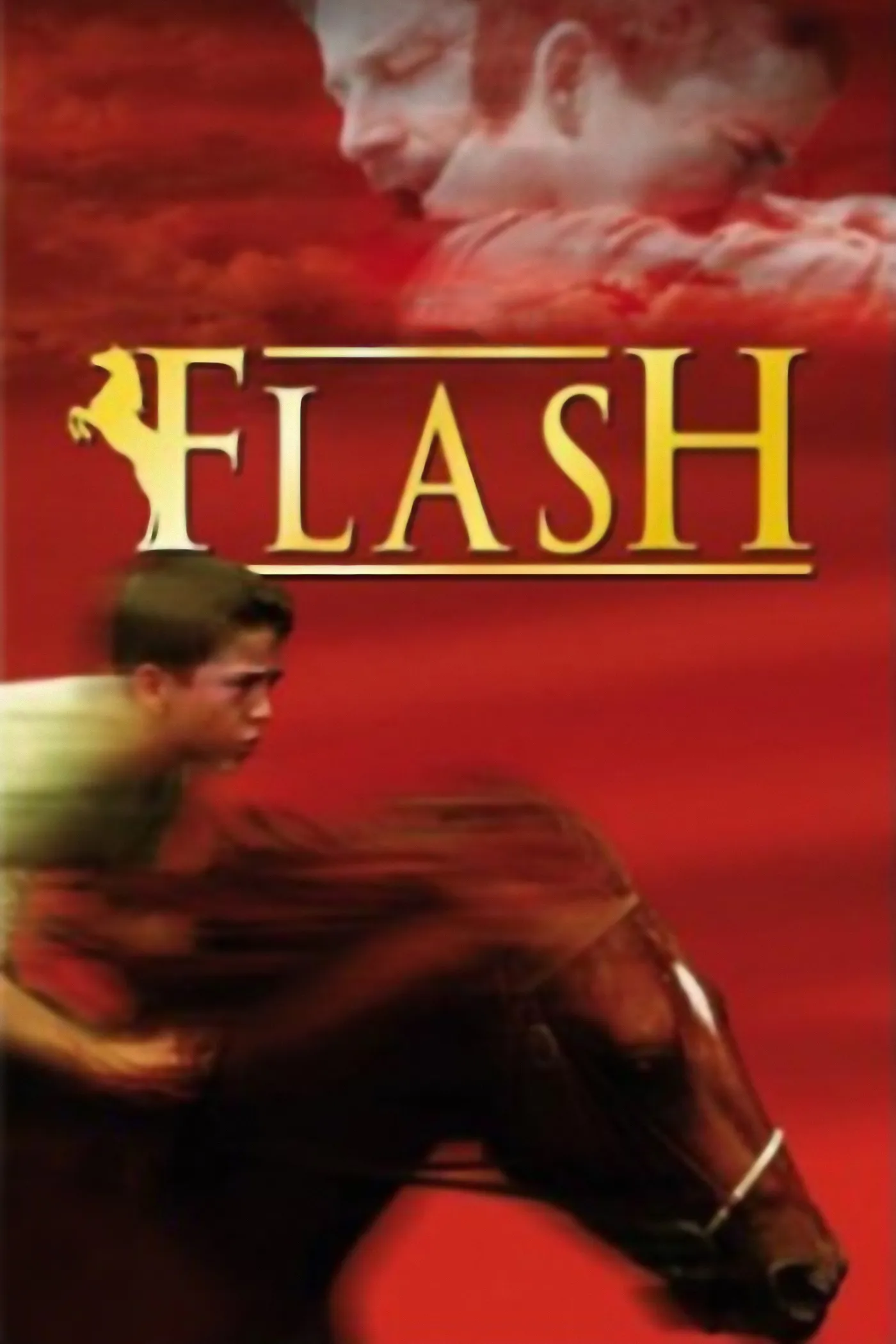 Flash poster