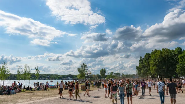 Down The Rabbit Hole 2022