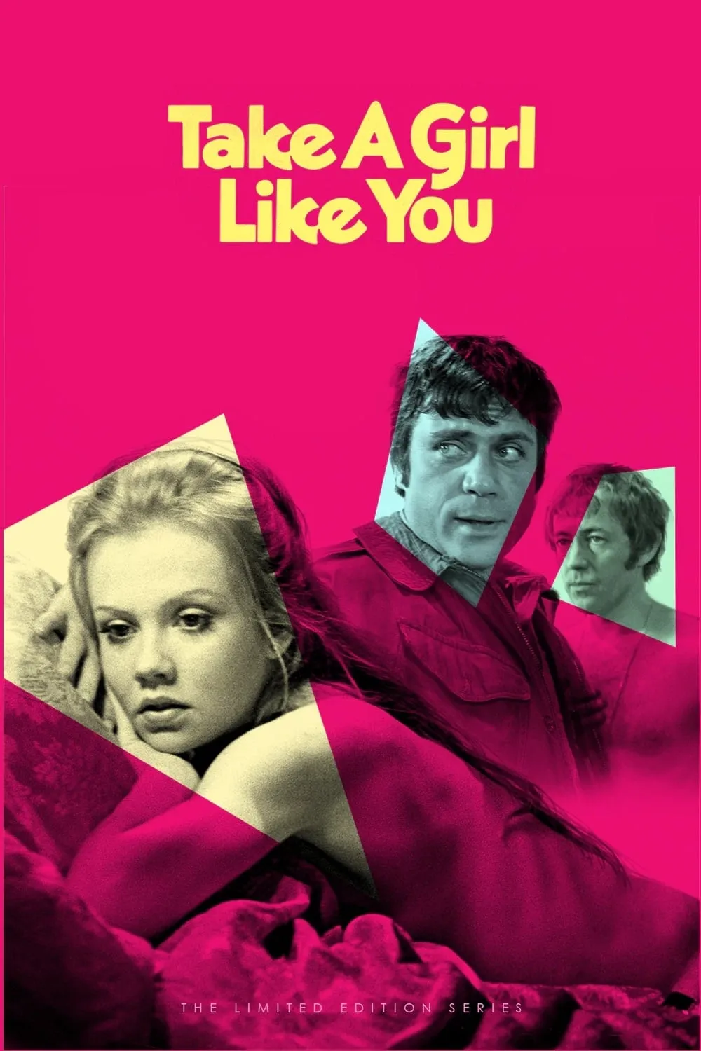 Take a Girl Like You poster