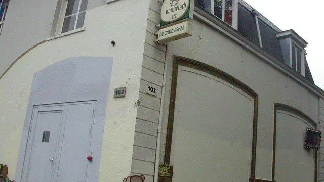 Goudvishal in Arnhem