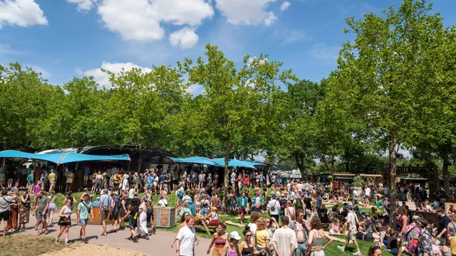 Down The Rabbit Hole