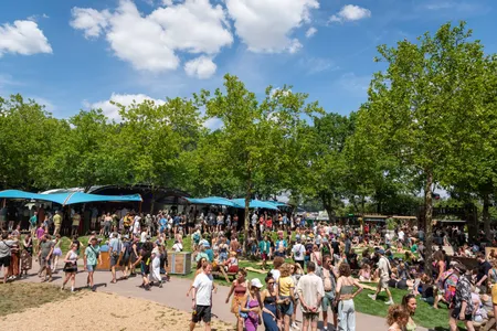 Down The Rabbit Hole