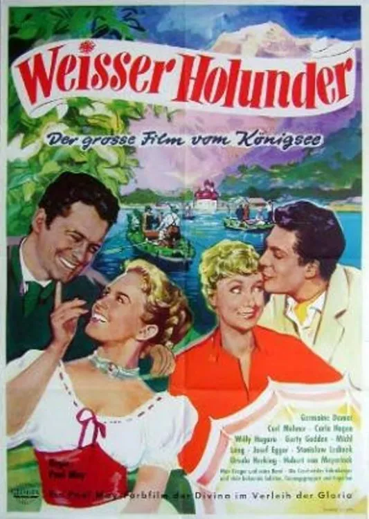 Weißer Holunder poster