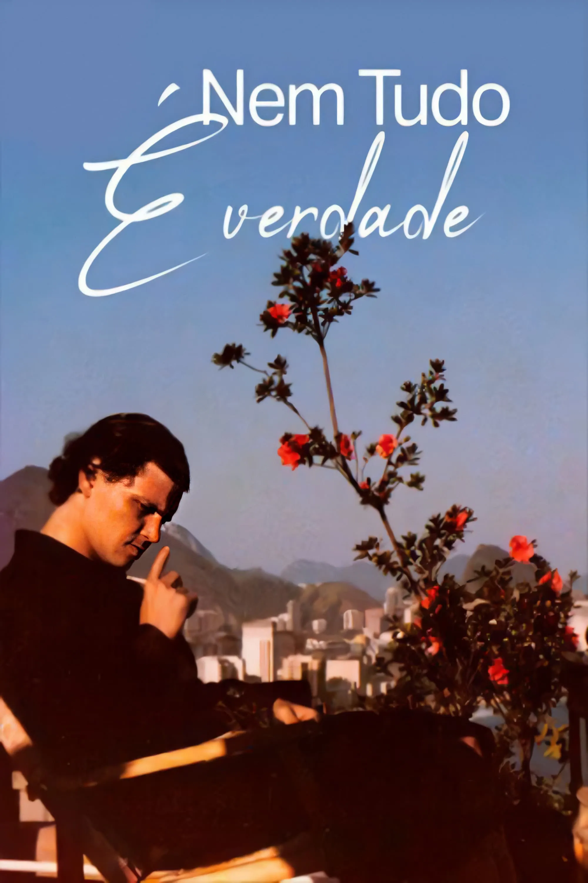 Nem tudo e verdade poster