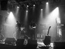 Semuta