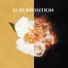 Mind & Fancy Superpostition Cover