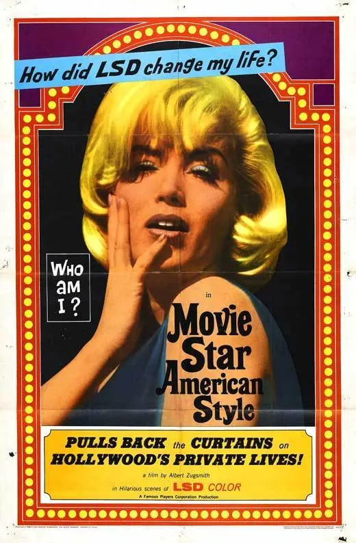 Movie Star, American Style or LSD I Hate You poster