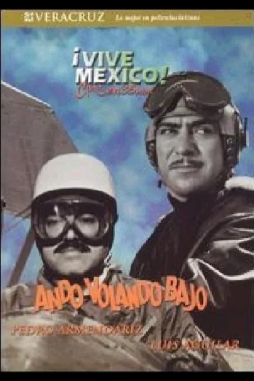 Ando volando bajo poster