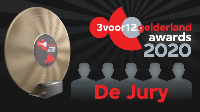 Vakjury van de 3voor12 Gelderland Awards 2020