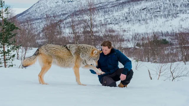 Freek Vonk zit in de sneeuw naast een wolf. De wolf geeft Freek een poot.