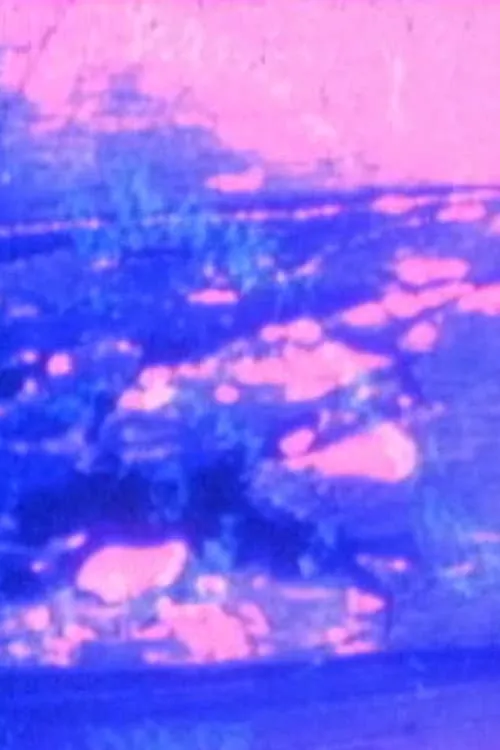 Hardwood Process poster