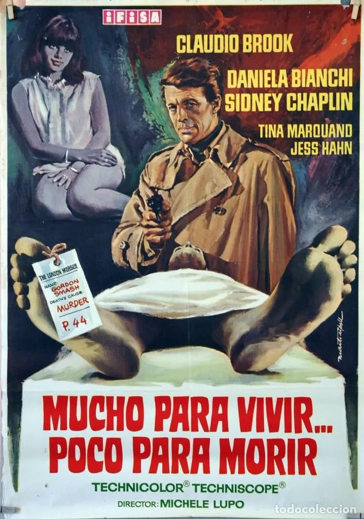 Troppo per vivere... poco per morire poster