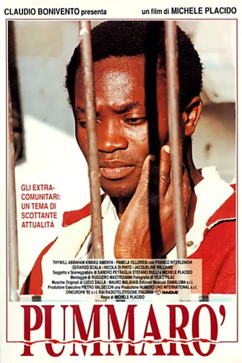 Pummarò poster