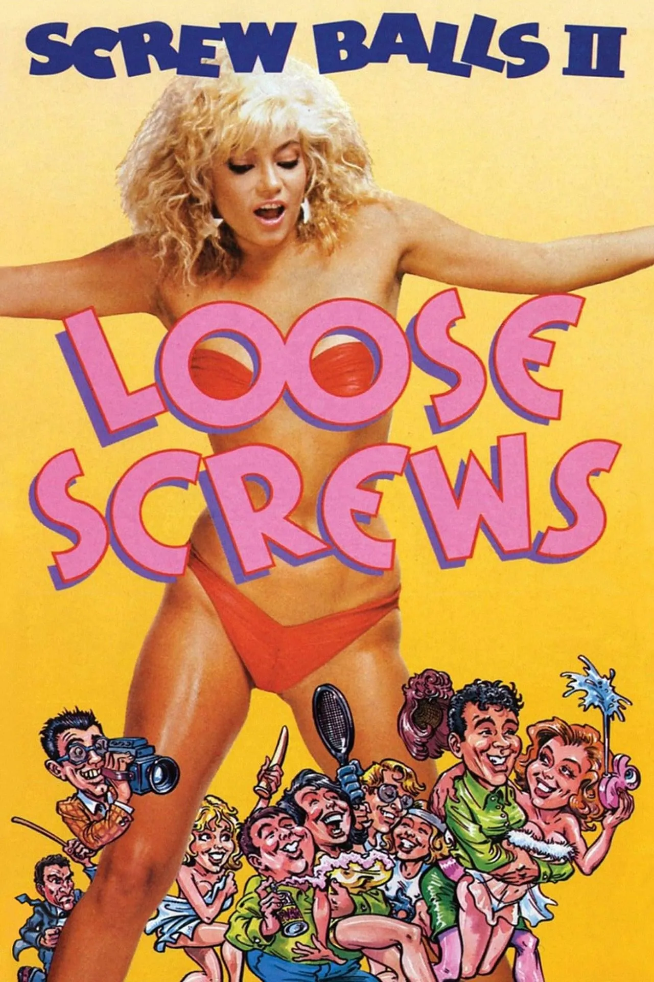 Loose screws poster