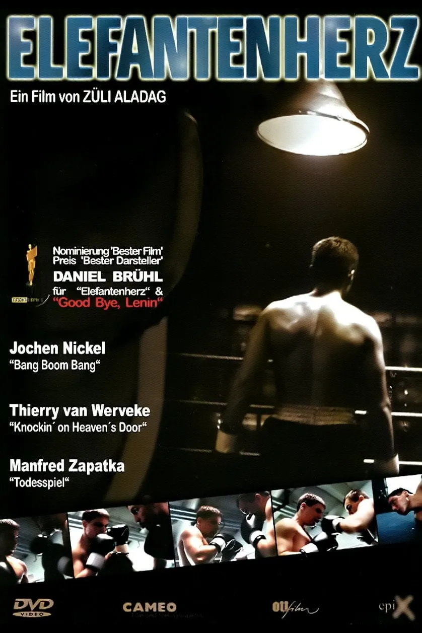 Elefantenherz poster