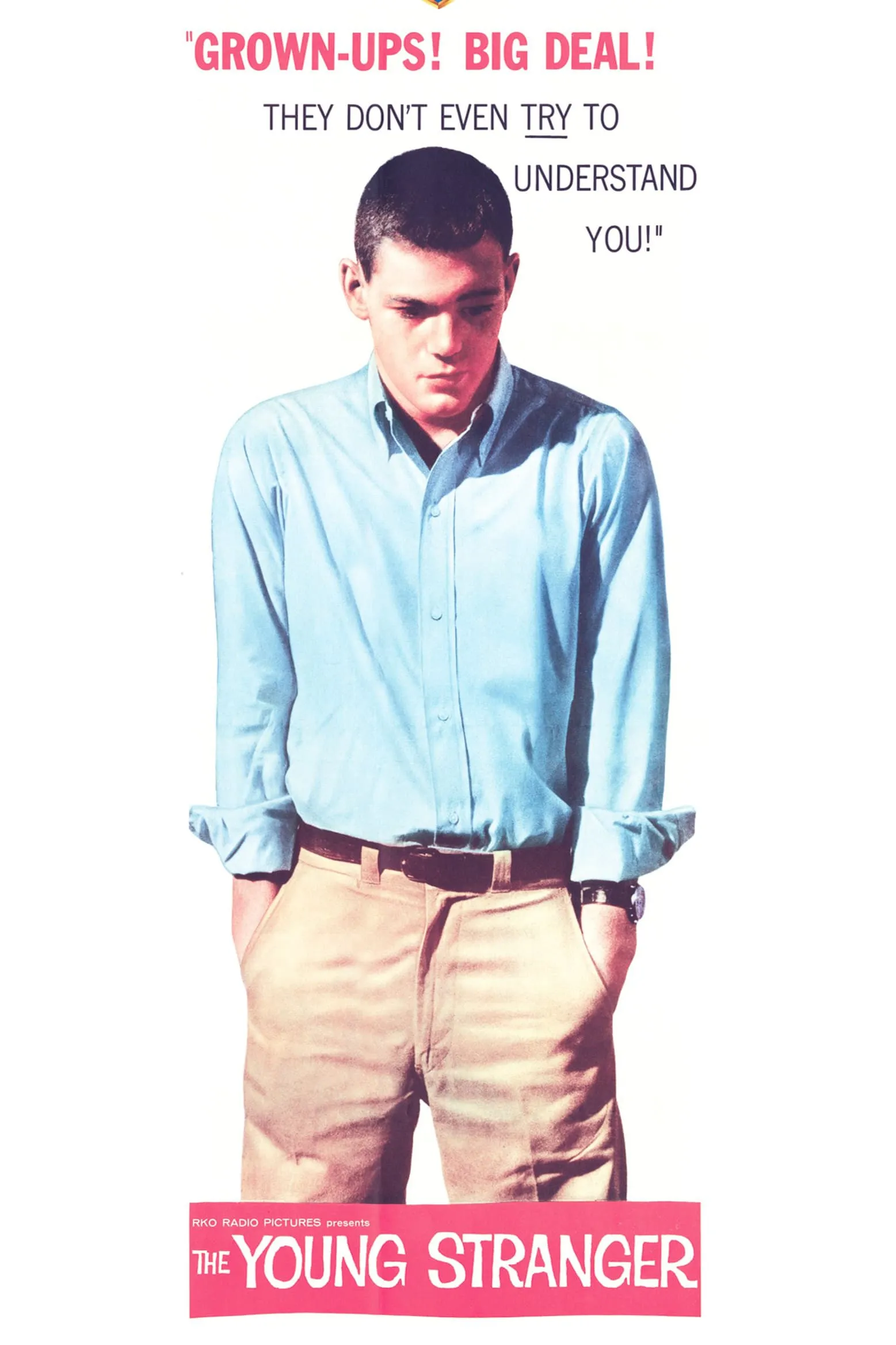 The Young Stranger poster