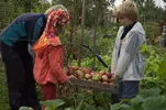 Kinderen maken kennis met permacultuur