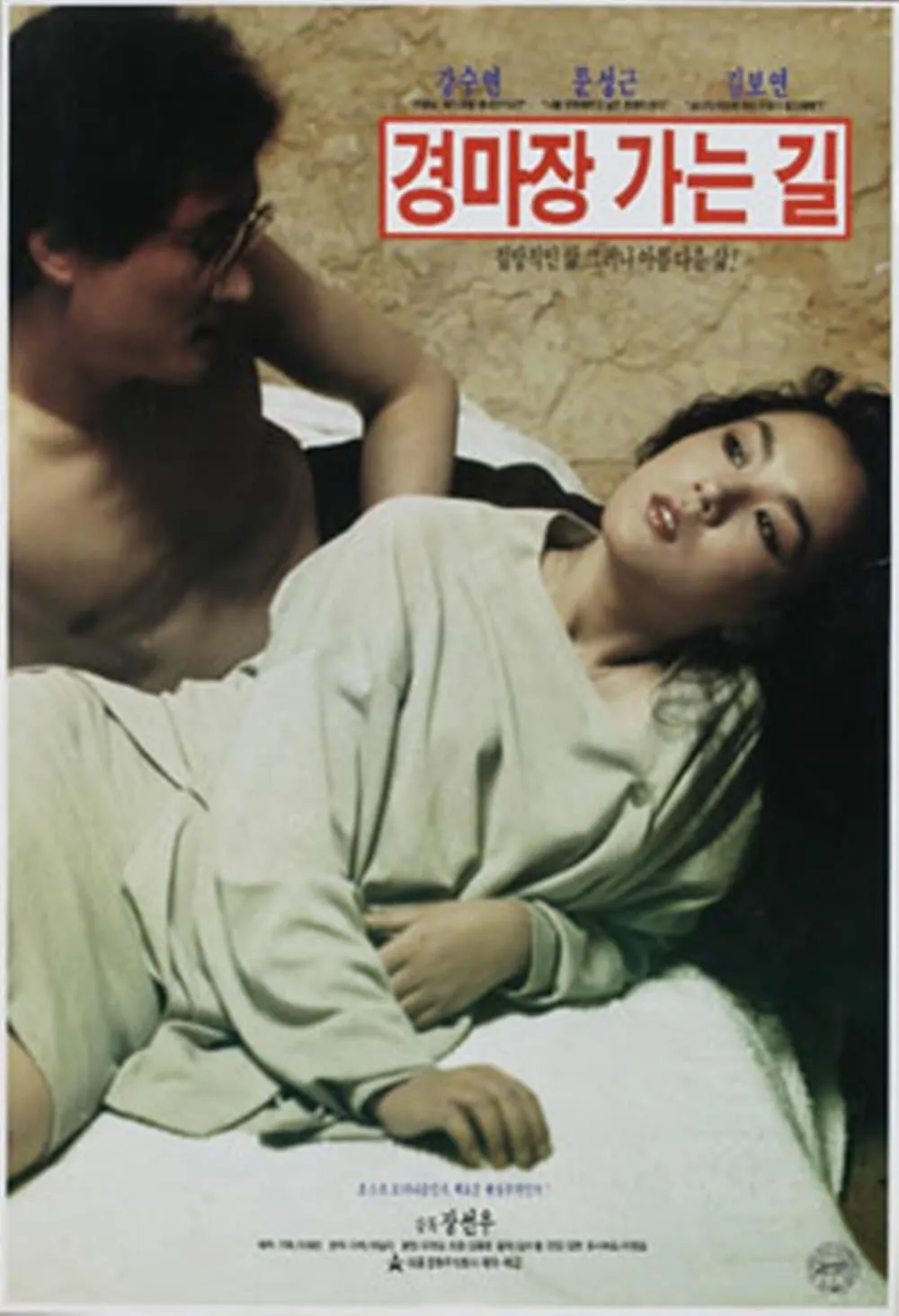 Kyongmachang kanungil poster