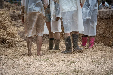 Down The Rabbit Hole