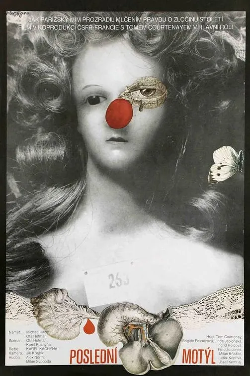 Posledni motyl poster