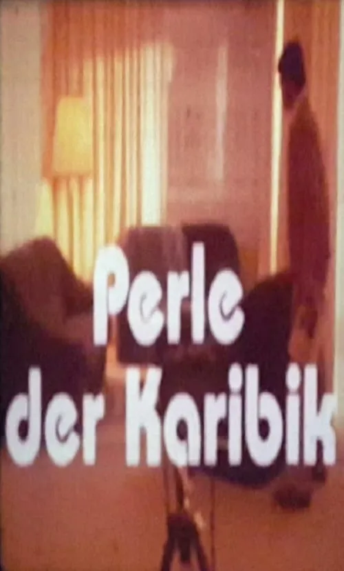 Perle der Karibik poster