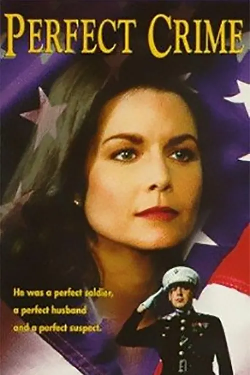 Perfect Crime poster